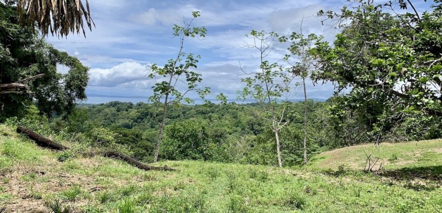 High Elevation Rainforest and Ocean View Property