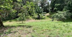 High Elevation Rainforest and Ocean View Property