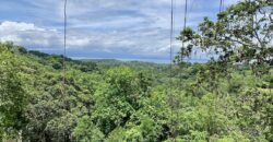 High Elevation Rainforest and Ocean View Property