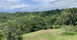 High Elevation Rainforest and Ocean View Property