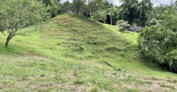 High Elevation Rainforest and Ocean View Property