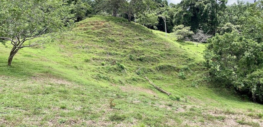 High Elevation Rainforest and Ocean View Property