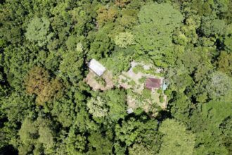 Mountain Property for sale in Osa Peninsula Costa Rica