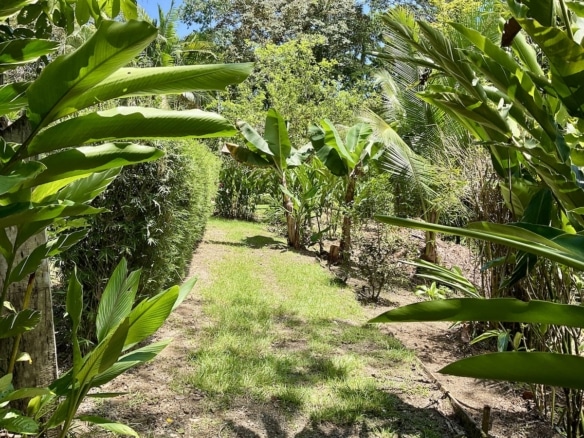 Distant view toward Golfo Dulce from nearby lookout. 