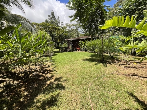 Dense vegetation providing privacy and shade. 