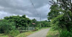 Jungle View Property in Osa Peninsula