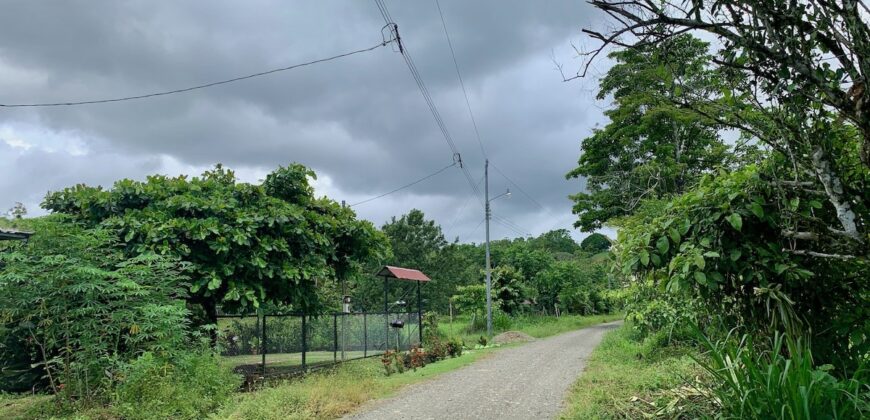 Jungle View Property in Osa Peninsula