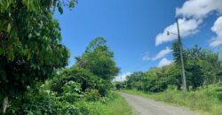 Jungle View Property in Osa Peninsula
