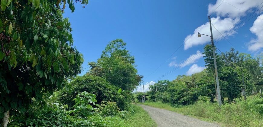 Jungle View Property in Osa Peninsula