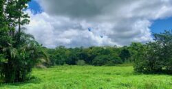 Jungle View Property in Osa Peninsula