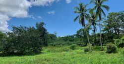 Jungle View Property in Osa Peninsula