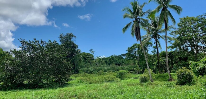 Jungle View Property in Osa Peninsula