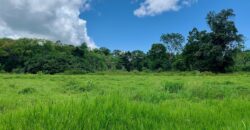 Jungle View Property in Osa Peninsula