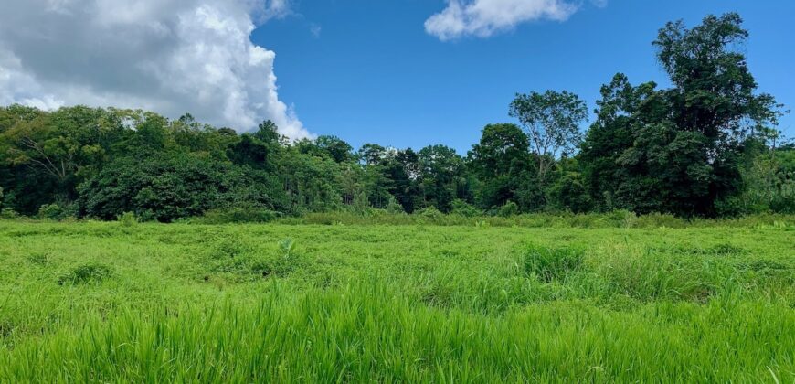 Jungle View Property in Osa Peninsula