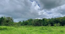 Jungle View Property in Osa Peninsula