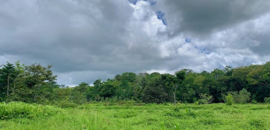 Jungle View Property in Osa Peninsula