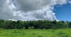 Jungle View Property in Osa Peninsula