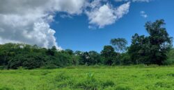 Jungle View Property in Osa Peninsula