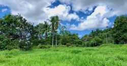 Jungle View Property in Osa Peninsula