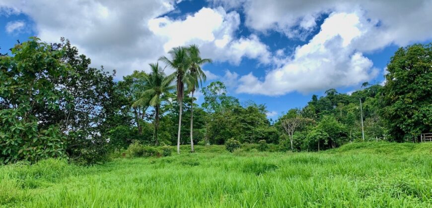 Jungle View Property in Osa Peninsula