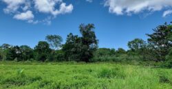 Jungle View Property in Osa Peninsula