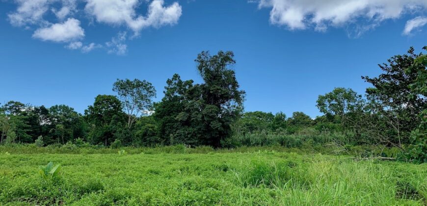 Jungle View Property in Osa Peninsula