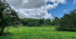 Jungle View Property in Osa Peninsula