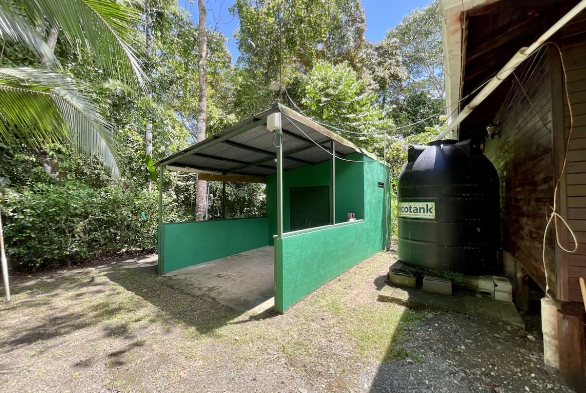 Shaded tropical yard with natural foliage and flowers. 