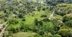 Jungle View Property in Osa Peninsula