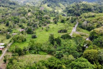 Jungle View Property in Osa Peninsula