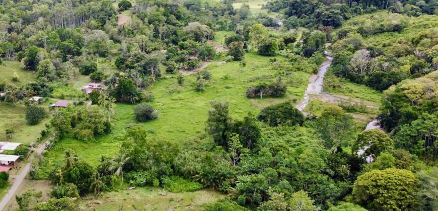 Jungle View Property in Osa Peninsula