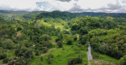 Jungle View Property in Osa Peninsula