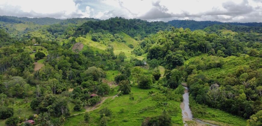Jungle View Property in Osa Peninsula