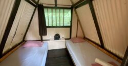 Turn-key Jungle Lodge in the Osa Peninsula