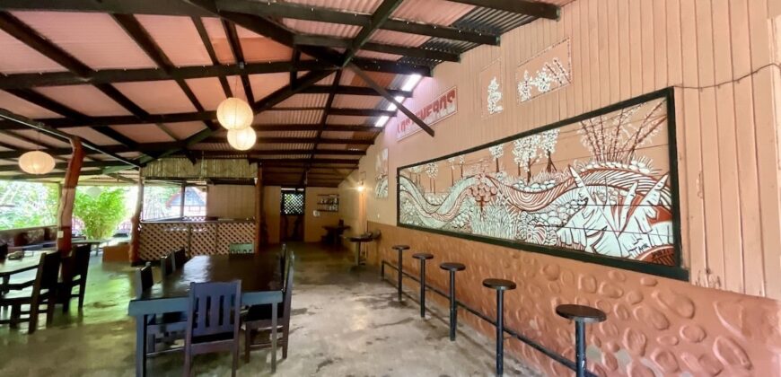 Turn-key Jungle Lodge in the Osa Peninsula