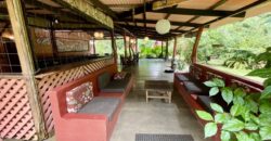 Turn-key Jungle Lodge in the Osa Peninsula
