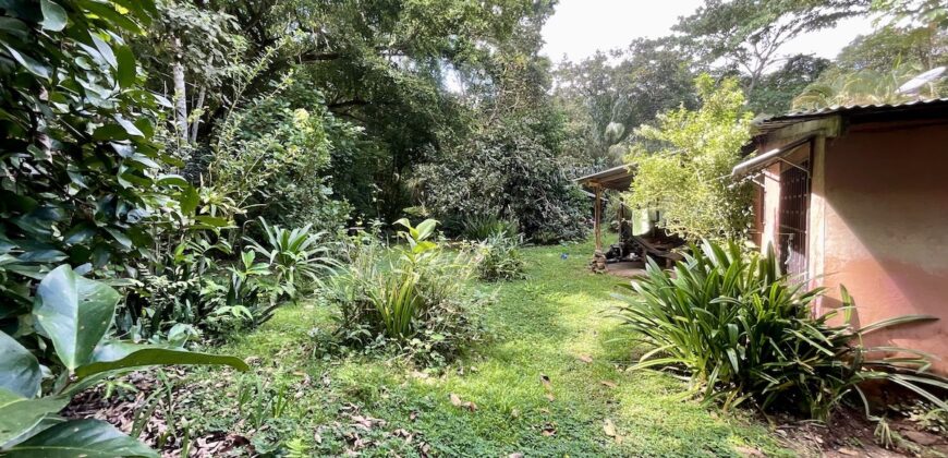 Turn-key Jungle Lodge in the Osa Peninsula