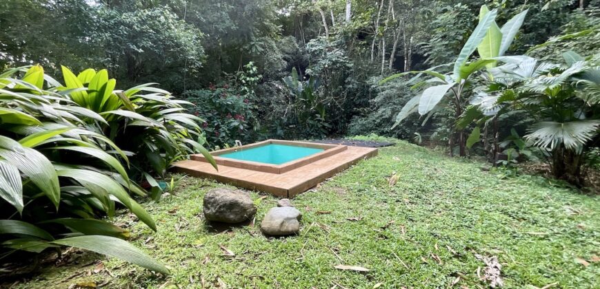 Turn-key Jungle Lodge in the Osa Peninsula