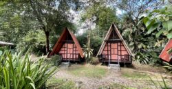 Turn-key Jungle Lodge in the Osa Peninsula
