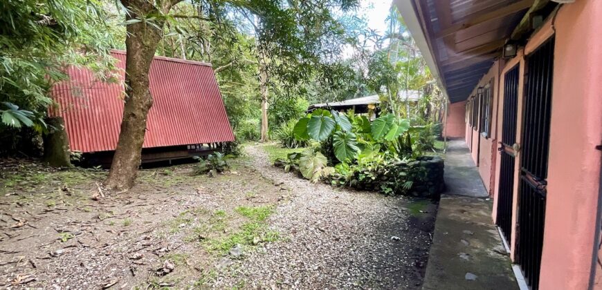 Turn-key Jungle Lodge in the Osa Peninsula