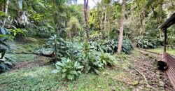 Turn-key Jungle Lodge in the Osa Peninsula