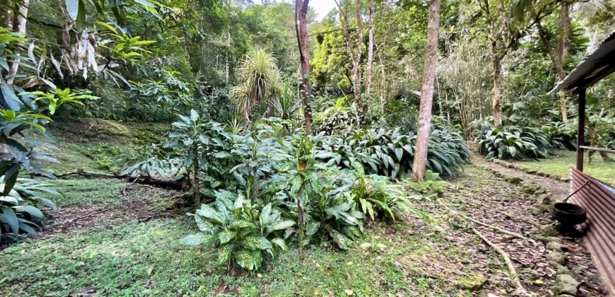 Turn-key Jungle Lodge in the Osa Peninsula