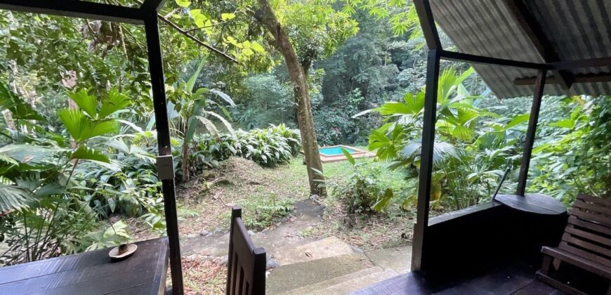 Turn-key Jungle Lodge in the Osa Peninsula