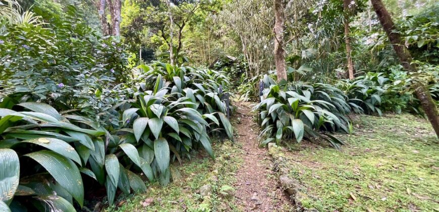 Turn-key Jungle Lodge in the Osa Peninsula