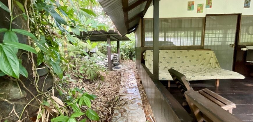 Turn-key Jungle Lodge in the Osa Peninsula
