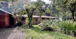 Turn-key Jungle Lodge in the Osa Peninsula