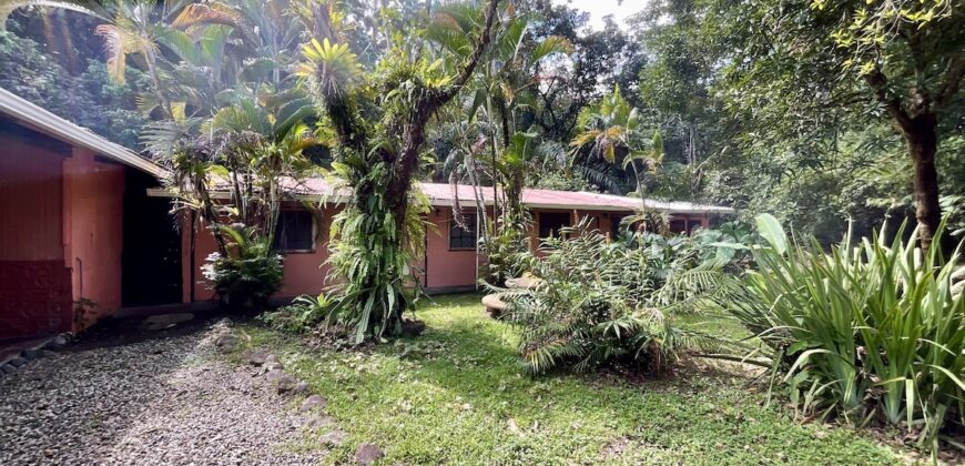 Turn-key Jungle Lodge in the Osa Peninsula