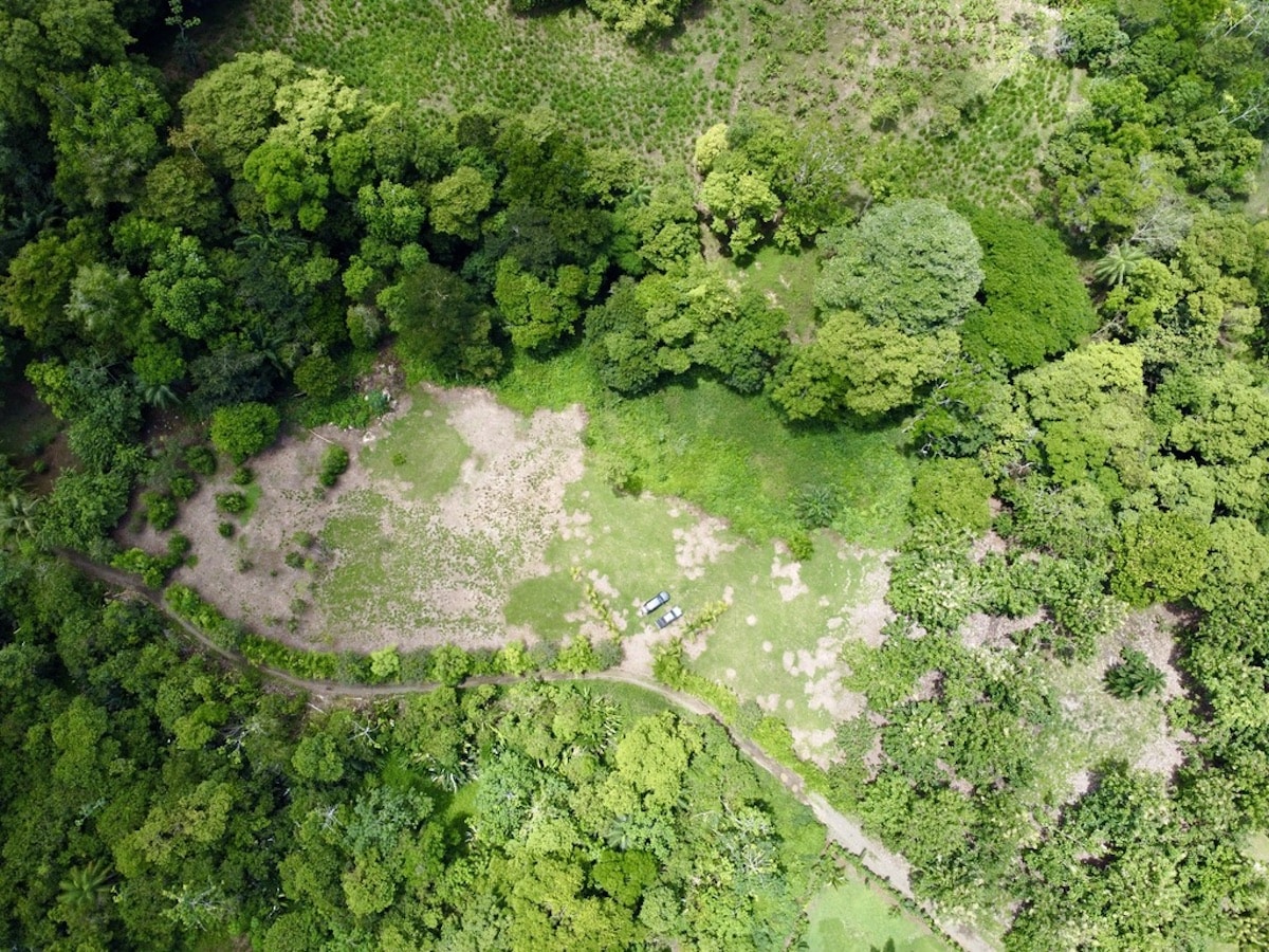 2.4-acre building lot sold near Puerto Jiménez — jungle parcel with creek, flora and fauna, Osa Peninsula Costa Rica, $69,000