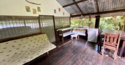 Turn-key Jungle Lodge in the Osa Peninsula