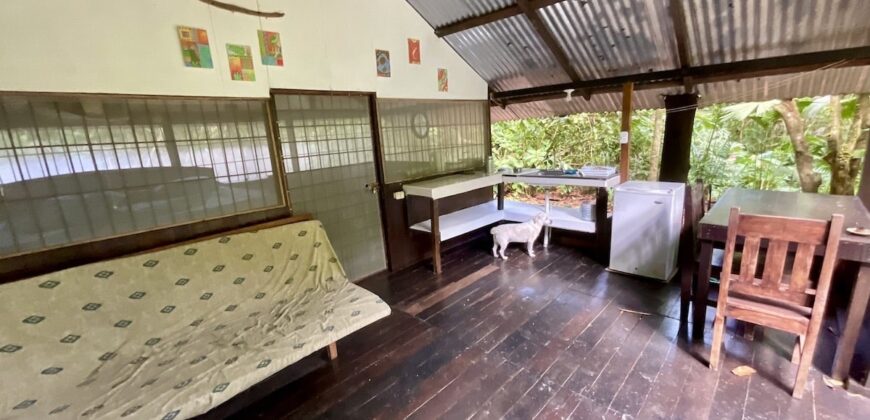 Turn-key Jungle Lodge in the Osa Peninsula
